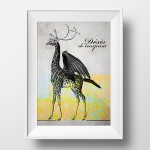 collage animals
