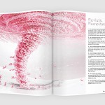 revista_04